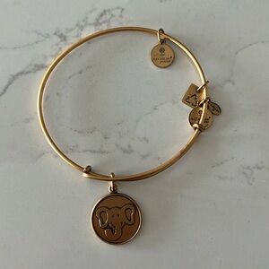 Alex and Ani gold elephant bracelet.